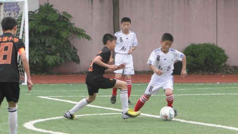 足球学校球员水平究竟如何？2026年数据揭秘中国青训的真实成色