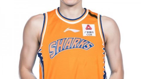 上海大鲨鱼2026球员名单全搜索：怀特塞德伤退悬念背后的魔都冠军拼图