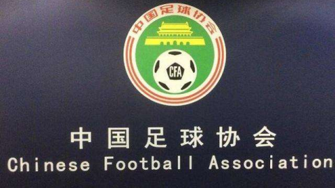 德国足协逾770万注册球员如何管理？揭秘DFB球员搜索背后的庞大足球王国