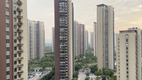 几内亚vs阿尔及利亚比分预测 非洲世预赛生死战 沙漠之狐冲击世界杯资格能否成功？