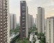 几内亚vs阿尔及利亚比分预测 非洲世预赛生死战 沙漠之狐冲击世界杯资格能否成功？