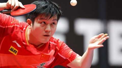 WTT萨格勒布站男单赛场：樊振东气势如虹，直落三局完胜安宰贤强势晋级